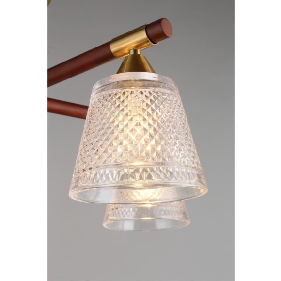 Потолочная люстра Catania OML-67607-05