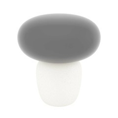 99825 Настольная лампа CAHUAMA