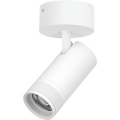 Белый накладной светодиодный спот с изм углом и цветностью 30Вт 2100Лм 20-55° CRI90 2700-4200-6000К Canno Pro Lightstar C4306SO