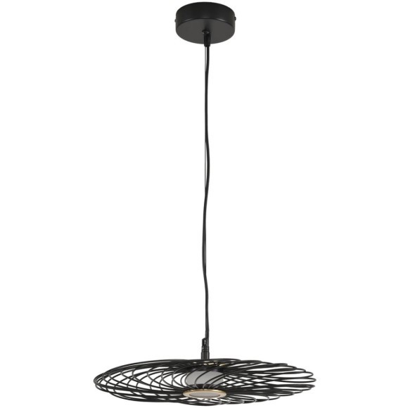 Подвес LED 9W 3000K Lumion CAMOMILE 8379/9L