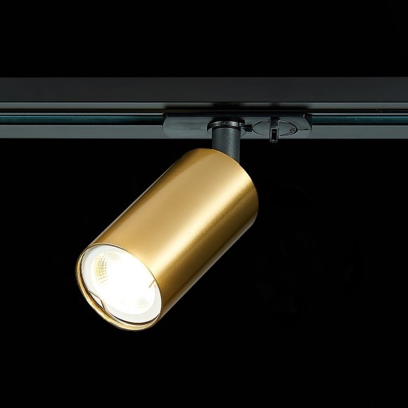 ST300.206.01 однофазный двужильный трековый светильник ST Luce под сменную лампу GU10