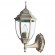Уличный настенный светильник Arte Lamp A3151AL-1WG PEGASUS IP44 под лампу 1xE27 60W