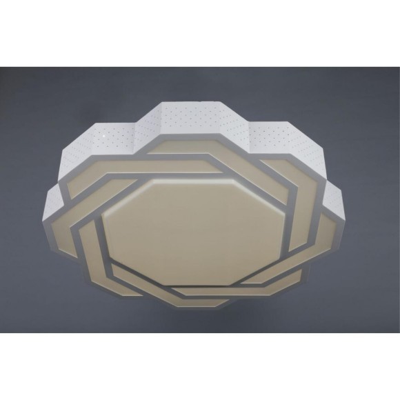 Потолочный светодиодный светильник OML-43607-59