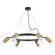 Люстра подвесная Rullo Lightstar LR0164061