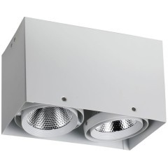 1986-2U, потолочный светильник, L265xW140xH160, COB 2xLEDx12W, RA>80, BEAM ANGLE:24°, 1920LM, 4000K, included
