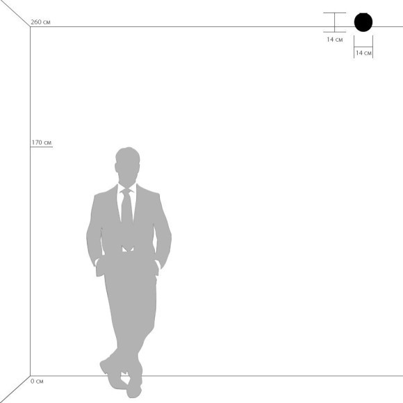 Люстра потолочная Lightstar 803010 Globo под лампу 1xG9 40W