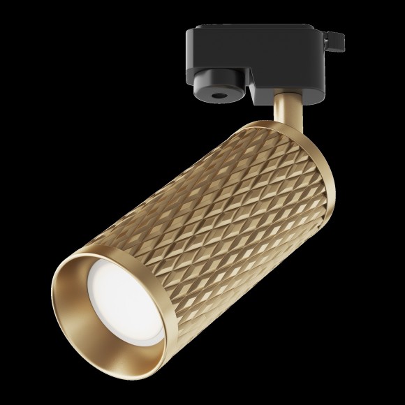 Однофазный двужильный трековый светильник Maytoni Unity TR011-1-GU10-G Focus Design под сменную лампу GU10