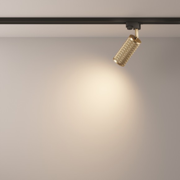 Однофазный двужильный трековый светильник Maytoni Unity TR011-1-GU10-G Focus Design под сменную лампу GU10