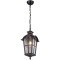 Уличный светильник подвесной Bristol 2036-1P
