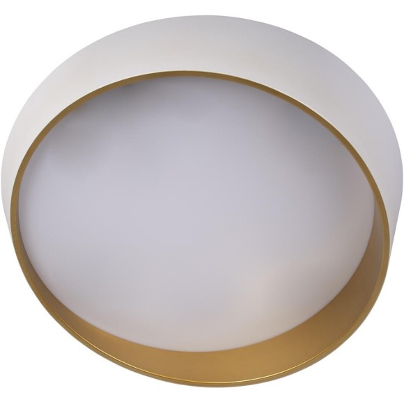 10199 White Потолочный светильник LOFT IT Coin