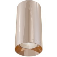 Потолочный светильник Technical C010CL-01RG