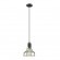 Подвесной светильник с 1 плафоном Lumion 3639/1 ALFRED под лампу 1xE27 60W