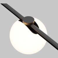 Maytoni ARITY Luna TR236-1-5W3K-B Черный трековый светодиодный светильник шар 110мм, с возможностью поворота прямо на шинопроводе, диммируется по Dali DT6 или 0-10V, LED SMD2835 Lumileds 5Вт 3000К 300Лм 120° CRI90 IP20 24В