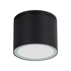 Уличный потолочный светильник Arte Lamp PIAUTOS A1913PF-1BK