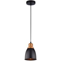 Подвесной светильник с 1 плафоном Arte Lamp A4248SP-1BK EURICA под лампу 1xE27 60W