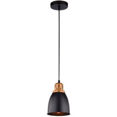 Подвесной светильник с 1 плафоном Arte Lamp A4248SP-1BK EURICA под лампу 1xE27 60W