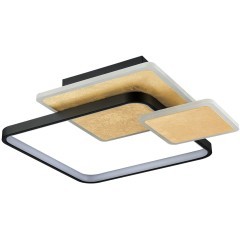 6574/72CL Потолочный светильник Lumion LEDIO LED Ra90 Lm4000 72W 220V GOLDY 6574/72CL Потолочный светильник Lumion LEDIO LED Ra90 Lm4000 72W 220V GOLDY