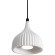 Подвесной светильник Freya FR5582PL-01W