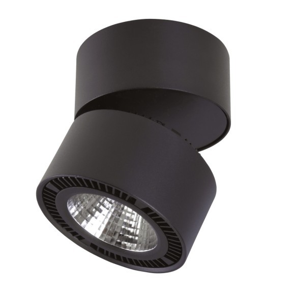 Накладной потолочный светильник Lightstar 381373 Forte IP65 светодиодный LED 35W
