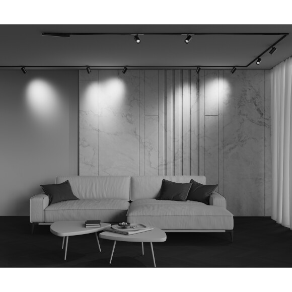 Трековый светильник Technical TR243-4-12WTW-DSZ-B