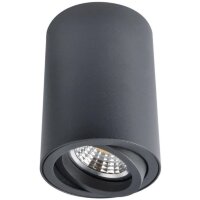 Накладной потолочный светильник Arte Lamp A1560PL-1BK SENTRY под лампу 1xGU10 50W