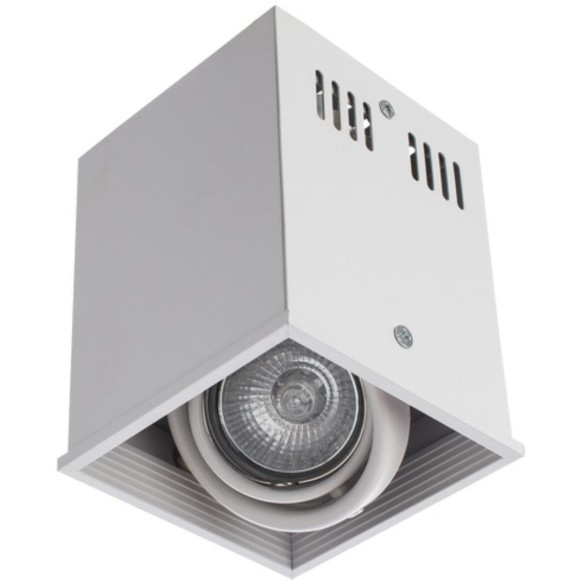 Накладной потолочный светильник Arte Lamp A5942PL-1WH CARDANI PICCOLO под лампу 1xGU10 50W