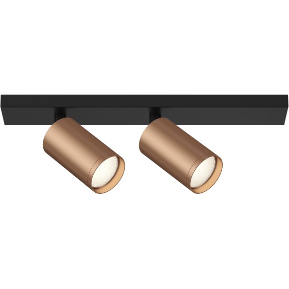 Потолочный светильник (Набор) Technical C051CL-02BC