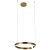 10013M Подвесной светильник LOFT IT Ring