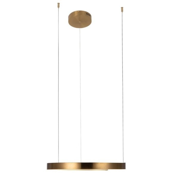 10013M Подвесной светильник LOFT IT Ring