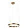 10013M Подвесной светильник LOFT IT Ring