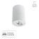 Накладной потолочный светильник Arte Lamp A1560PL-1WH SENTRY под лампу 1xGU10 50W
