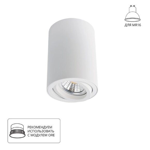 Накладной потолочный светильник Arte Lamp A1560PL-1WH SENTRY под лампу 1xGU10 50W