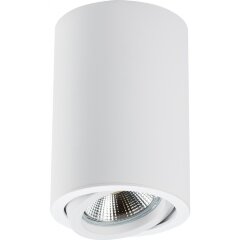 Накладной потолочный светильник Lightstar 214406 RULLO под лампу 1xGU10 50W