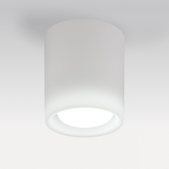 Светильник PVC накладной Solido E27 Lightstar 216626