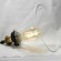 Подвесной светильник с 1 плафоном Lussole GRLSP-9607 GLEN COVE IP21 под лампу 1xE27 10W