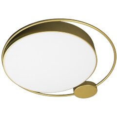 10063 Потолочный светильник LOFT IT Mike