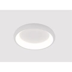 Потолочный светильник Arte Lamp MENKIB A2694PL-45WH