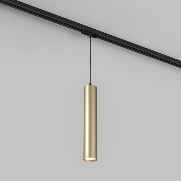 Однофазный двужильный трековый светильник Denkirs DK6210-BG Tube под сменную лампу GU10