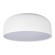 10201/480 White Потолочный светильник LOFT IT Axel