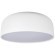 10201/480 White Потолочный светильник LOFT IT Axel