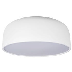 10201/480 White Потолочный светильник LOFT IT Axel