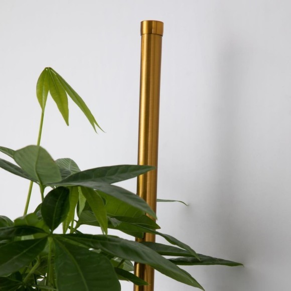 Бра Greenery 4050-2W