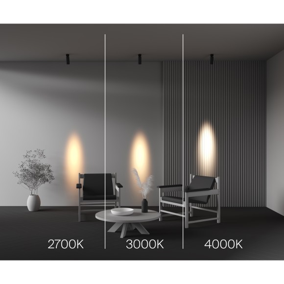 Потолочный светильник Technical C055CL-L12W3K-SS-B