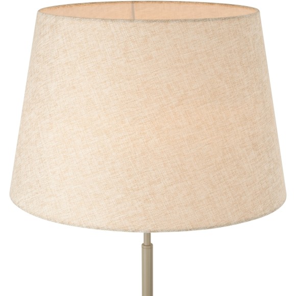 Напольный светильник (торшер) Freya FR2057FL-01BG