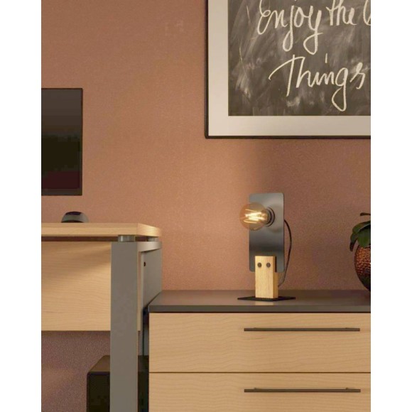 Настольная лампа EGLO 43754