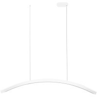 SL6232.513.01 Светильник подвесной ST-Luce Белый/Белый LED 1*20W 4000K HARMONY