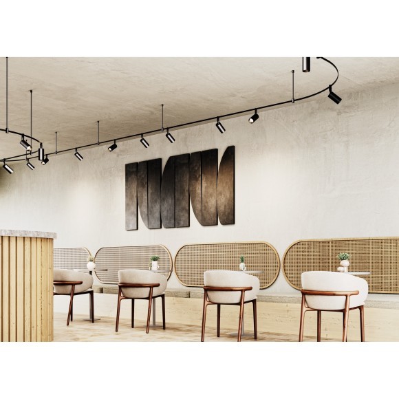 Светильник на гибкий шинопровод Maytoni Flexity TR201-1-10W3K-M-BBS 3000K 600лм 10Вт