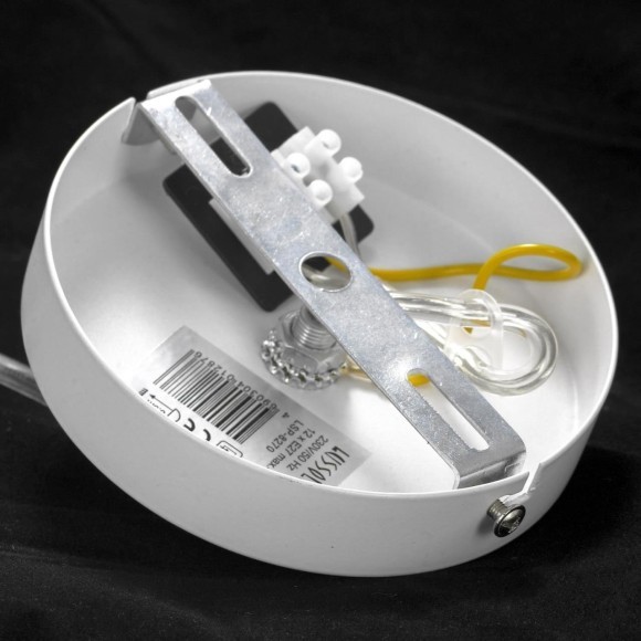 Люстра подвесная Lussole GRLSP-8270 KENNER IP21 под лампы 12xE27 120W