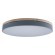 10001/36 Grey Потолочный светильник LOFT IT Axel