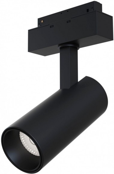 Трековый светильник светодиодный Track lamps TR019-2-15W4K-B